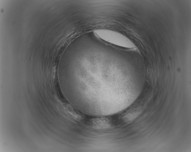 X0000065970652200603061150