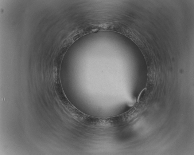 X0000065970656200603061150