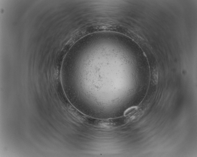 X0000065970657200603061150