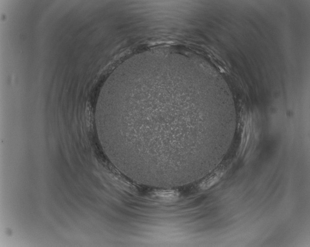 X0000065970659200603061151