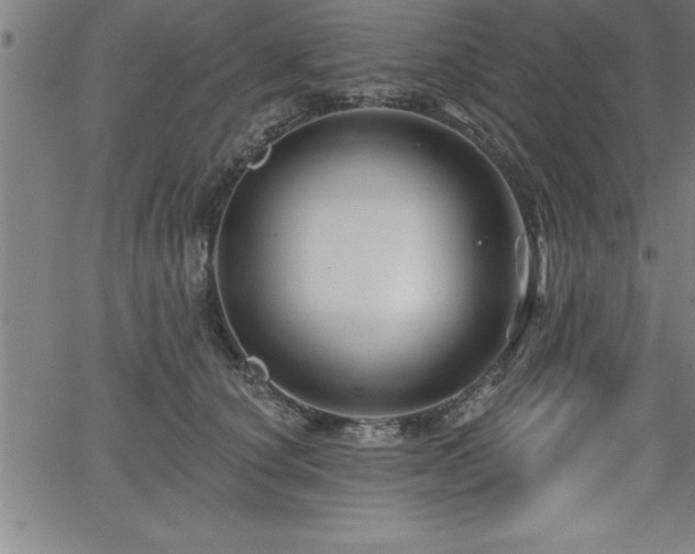 X0000065970660200603061151