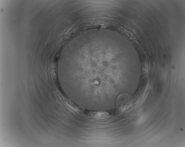 X0000065970663200603061151