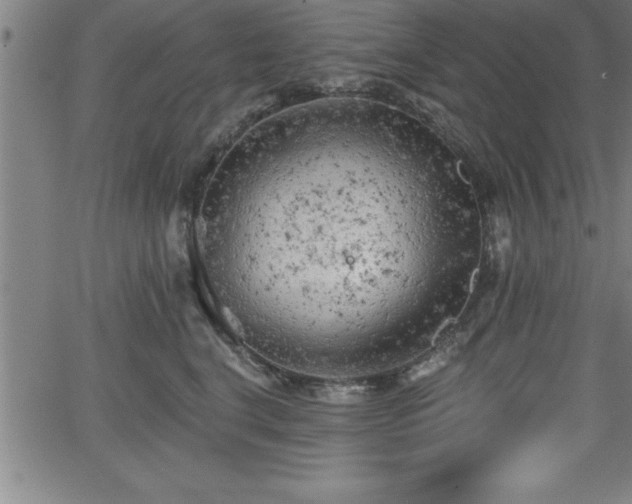 X0000065970664200603061151