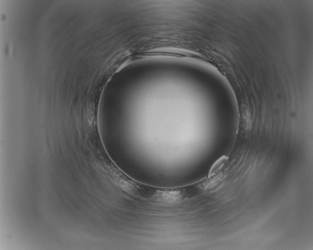 X0000065970665200603061151