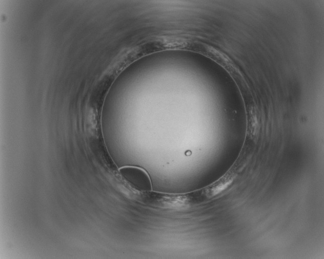 X0000065970667200603061151