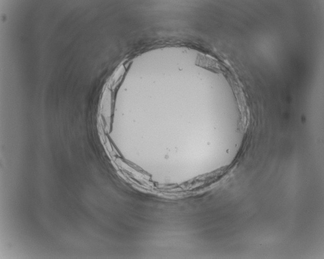 X0000065970672200603061151