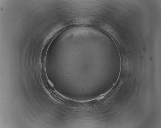 X0000065970674200603061150