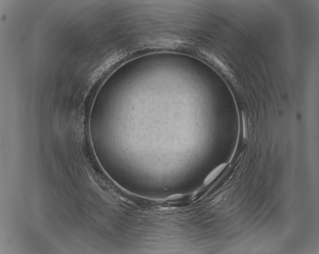 X0000065970675200603061150