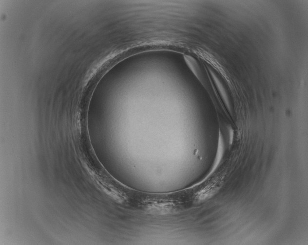 X0000065970676200603061150