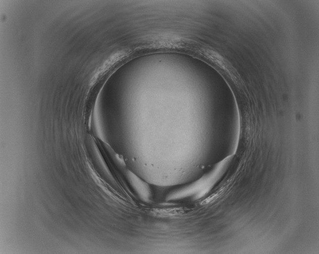 X0000065970677200603061150