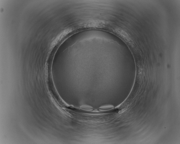 X0000065970678200603061150