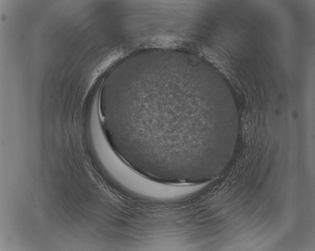 X0000065970679200603061150