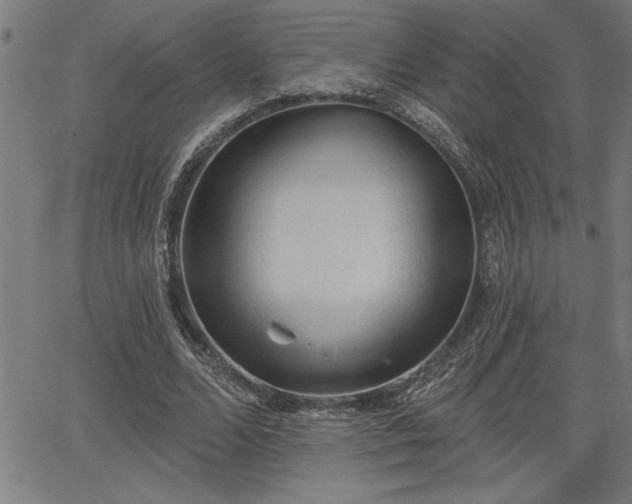 X0000065970680200603061150