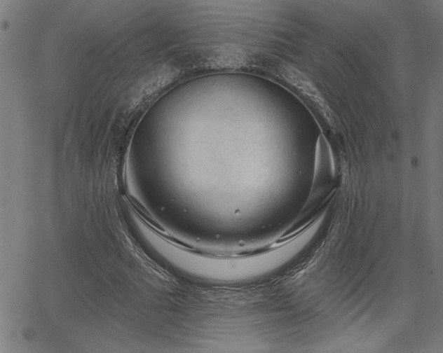 X0000065970681200603061150