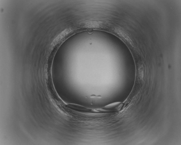 X0000065970682200603061150