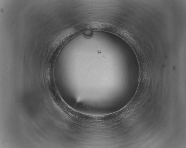 X0000065970683200603061150