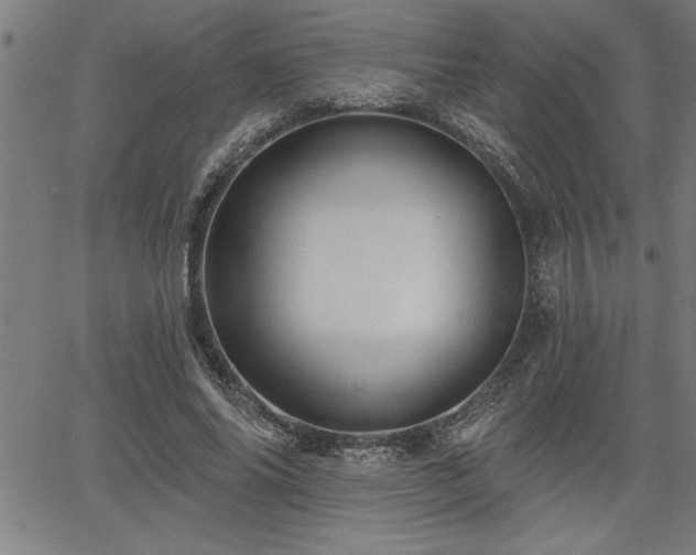 X0000065970686200603061150