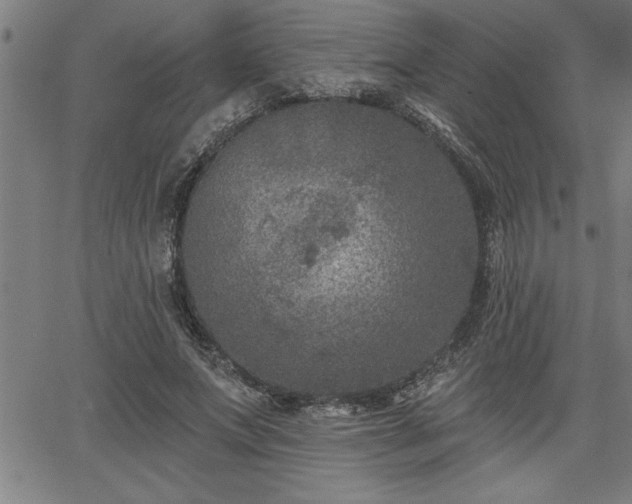 X0000065970687200603061150