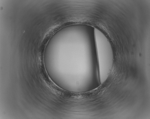 X0000065970688200603061150