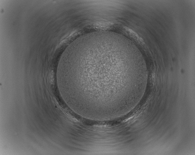 X0000065970689200603061150