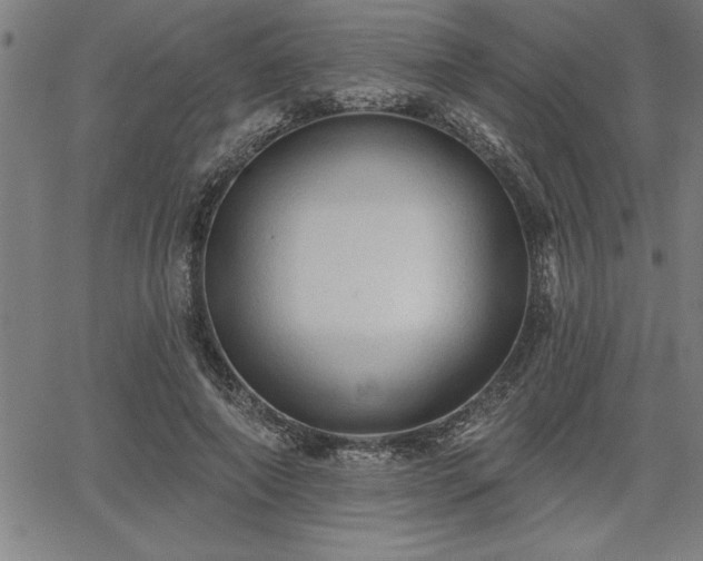 X0000065970690200603061150