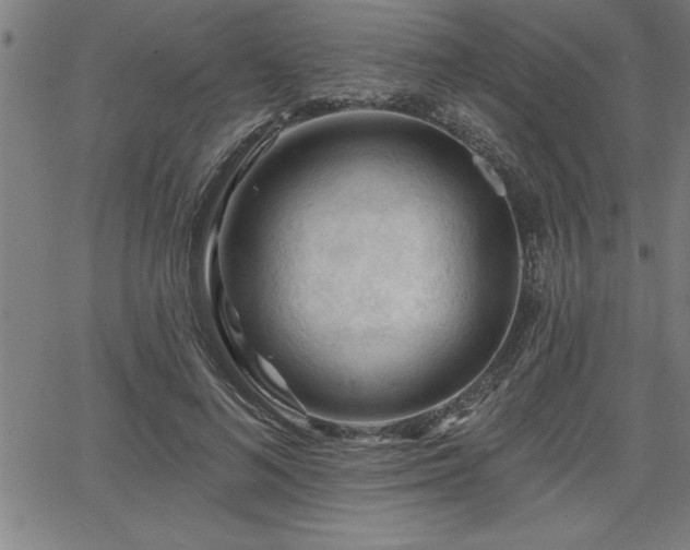 X0000065970692200603061150