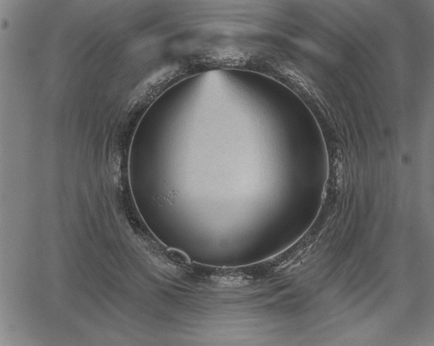 X0000065970693200603061150