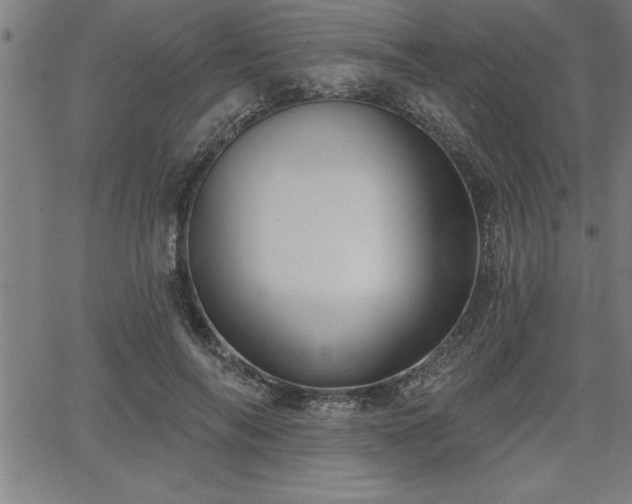 X0000065970694200603061150