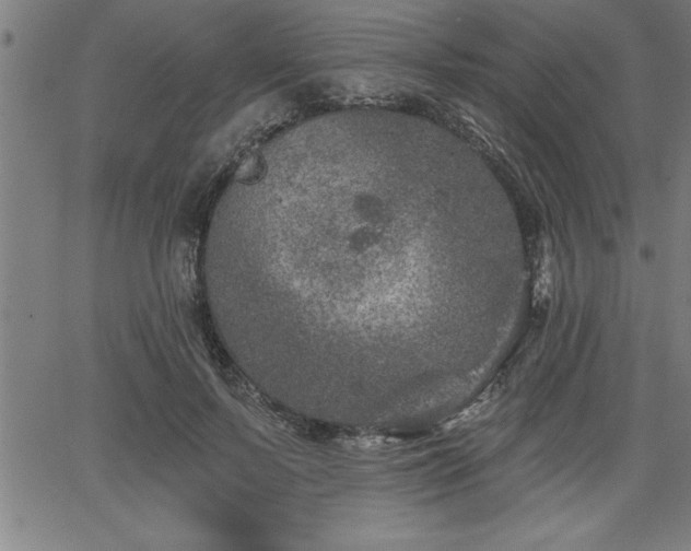 X0000065970695200603061150