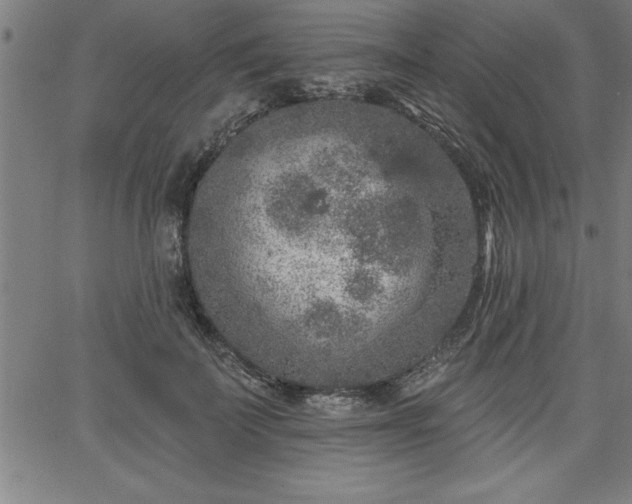 X0000065970699200603061150