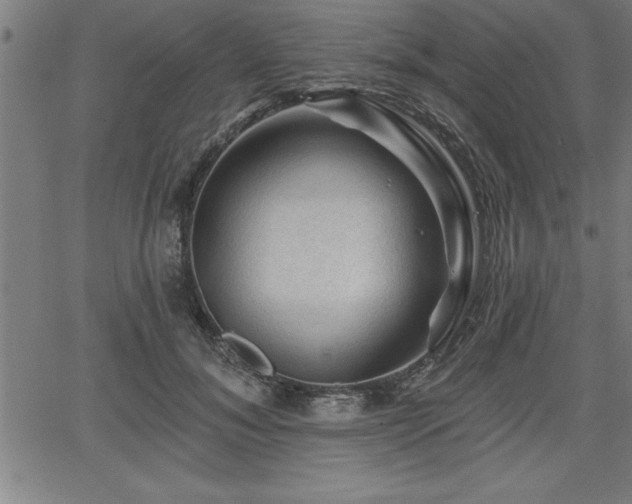 X0000065970700200603061150