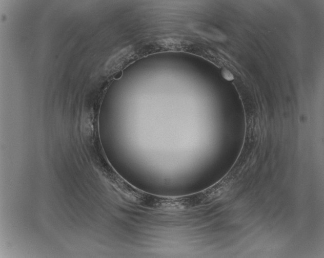 X0000065970702200603061149