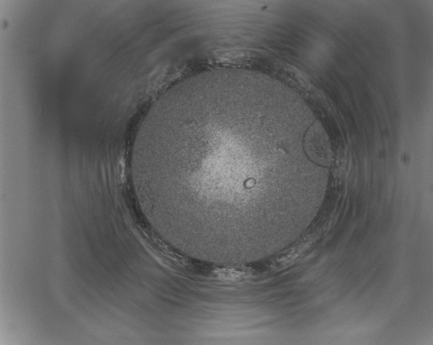 X0000065970703200603061149