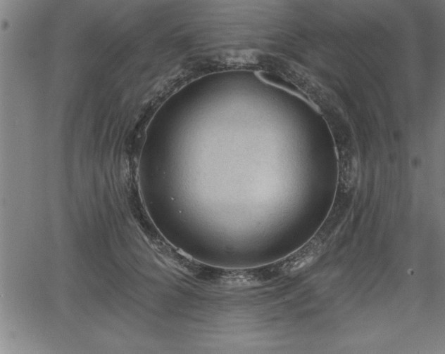 X0000065970704200603061149