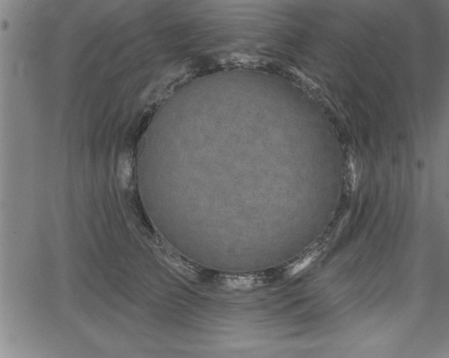 X0000065970709200603061149