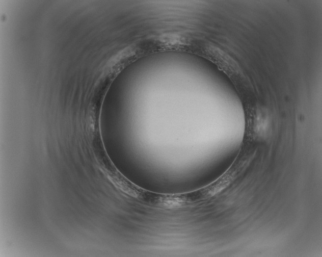 X0000065970710200603061149