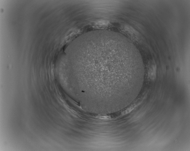 X0000065970711200603061149