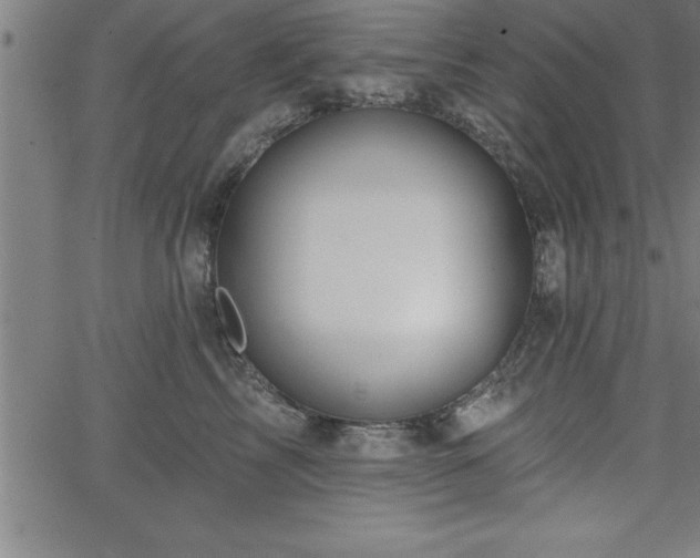 X0000065970713200603061149