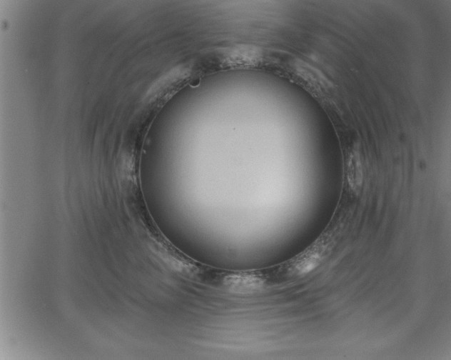 X0000065970714200603061149