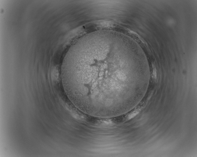 X0000065970715200603061149