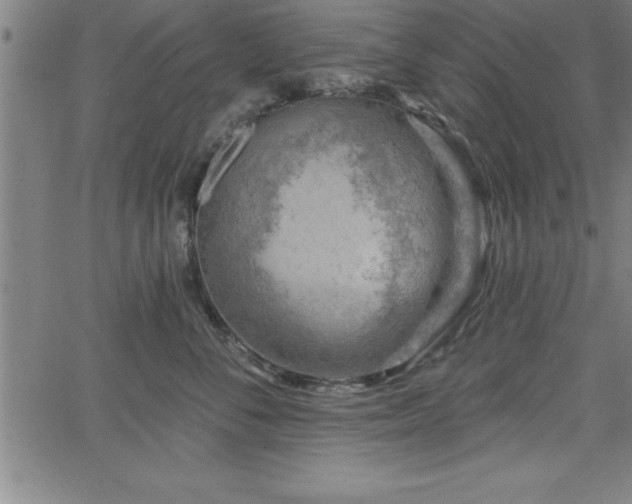 X0000065970716200603061149