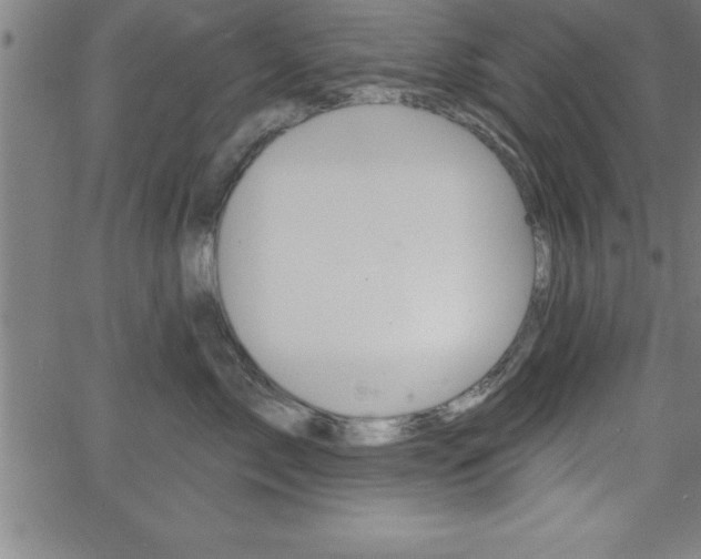 X0000065970717200603061149