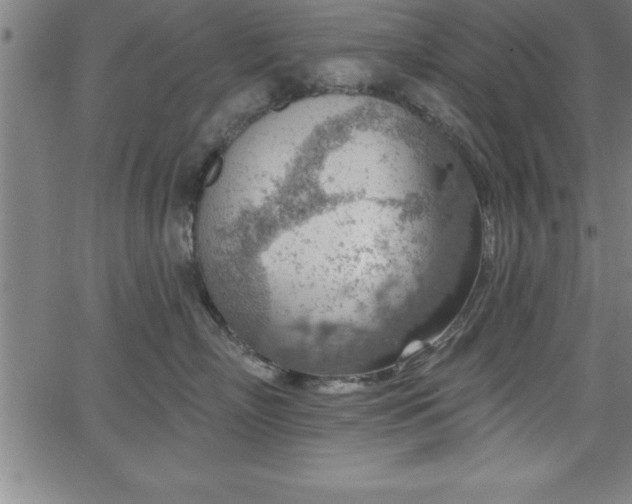 X0000065970718200603061149