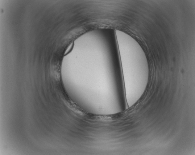 X0000065970719200603061149