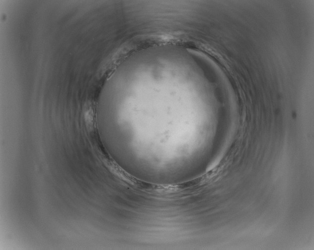 X0000065970720200603061149