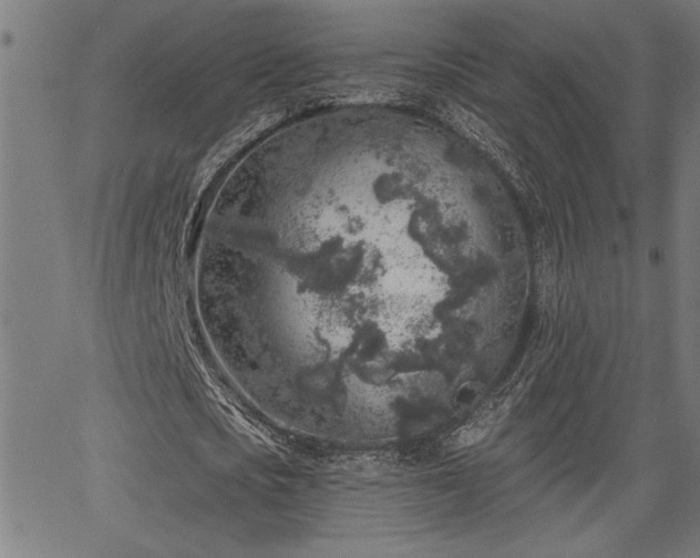 X0000065970721200603061148