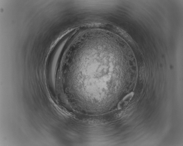 X0000065970722200603061148