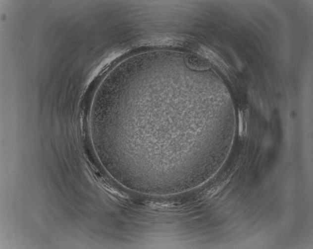 X0000065970723200603061148