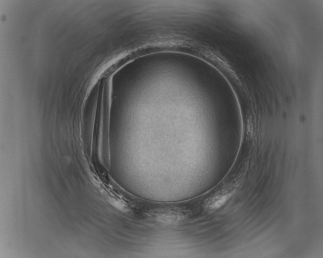 X0000065970724200603061148