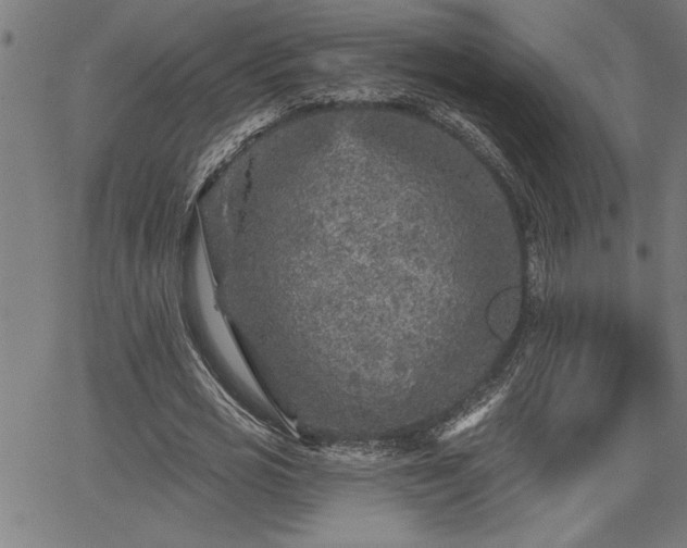 X0000065970725200603061148